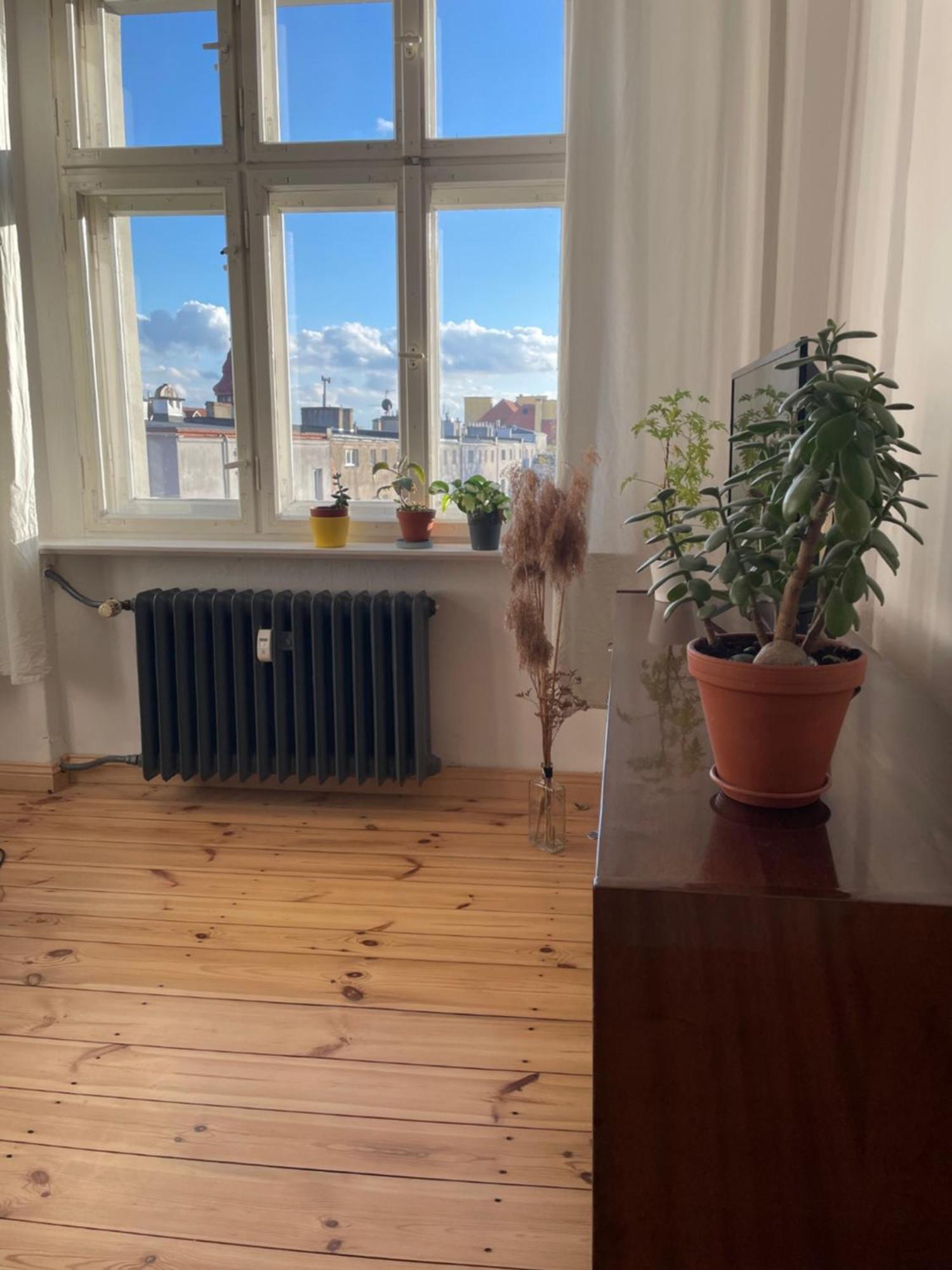 Sentymenty - Apartamenty W Kamienicy Na Mickiewicza Stary Toruń Екстериор снимка